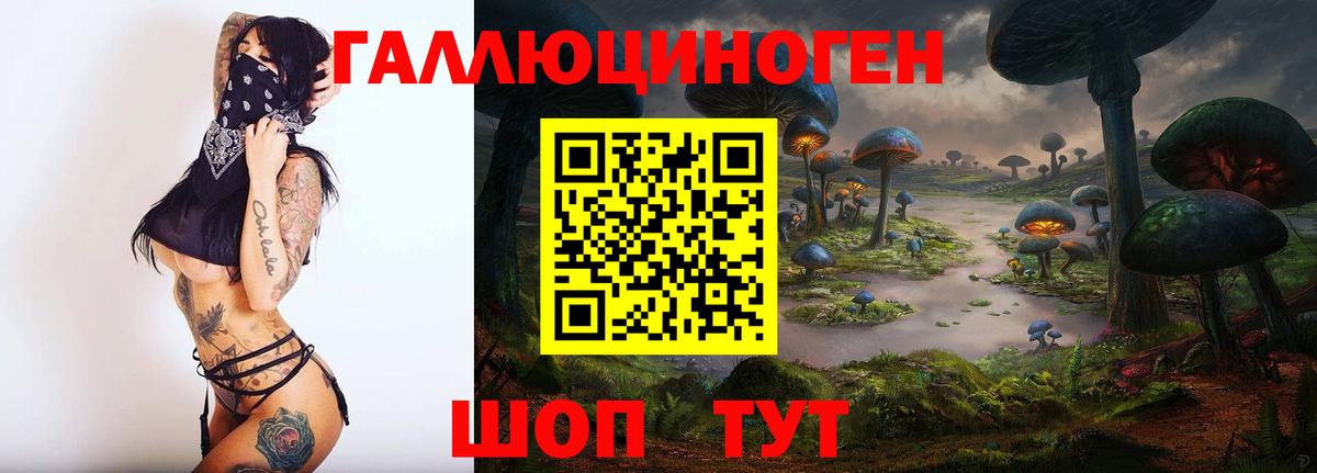 Галлюциногенные грибы Cubensis  Вход с VPN  Белогорск 